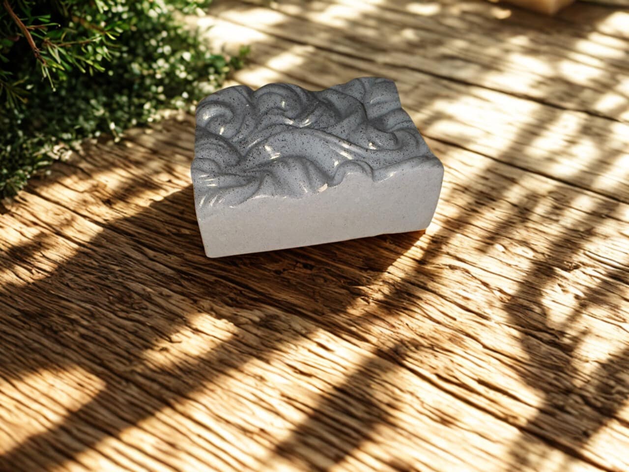 carbón activado, limpieza purificante (1)