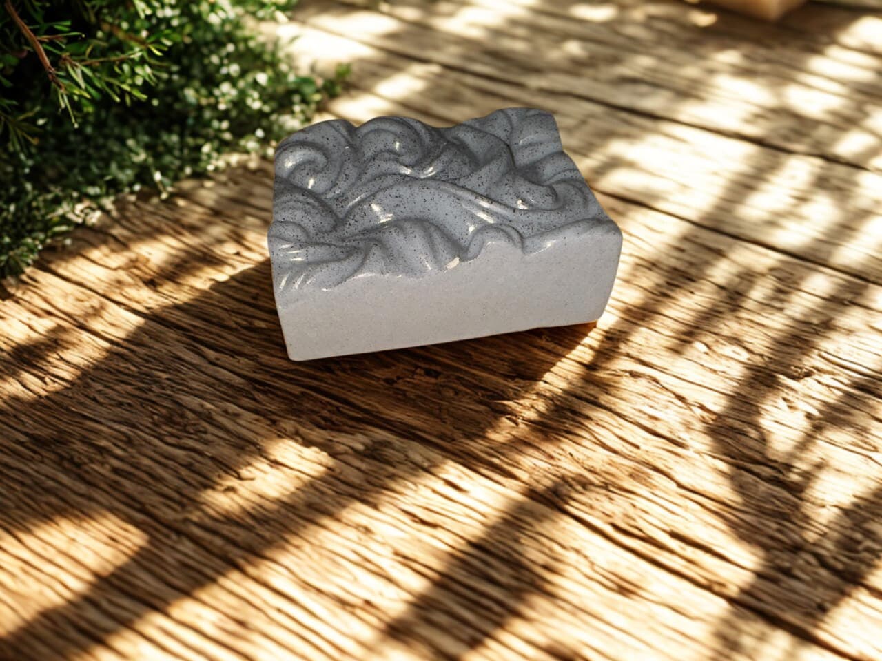 carbón activado, limpieza purificante (1)